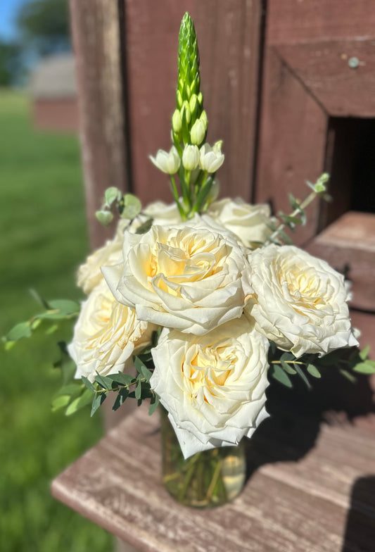 Whispers of White
